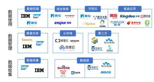 国内做大数据的公司有哪些 市场份额各是几个百分点