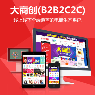 大商创授权B2C系统开发 构建高效电商平台的全面指南
